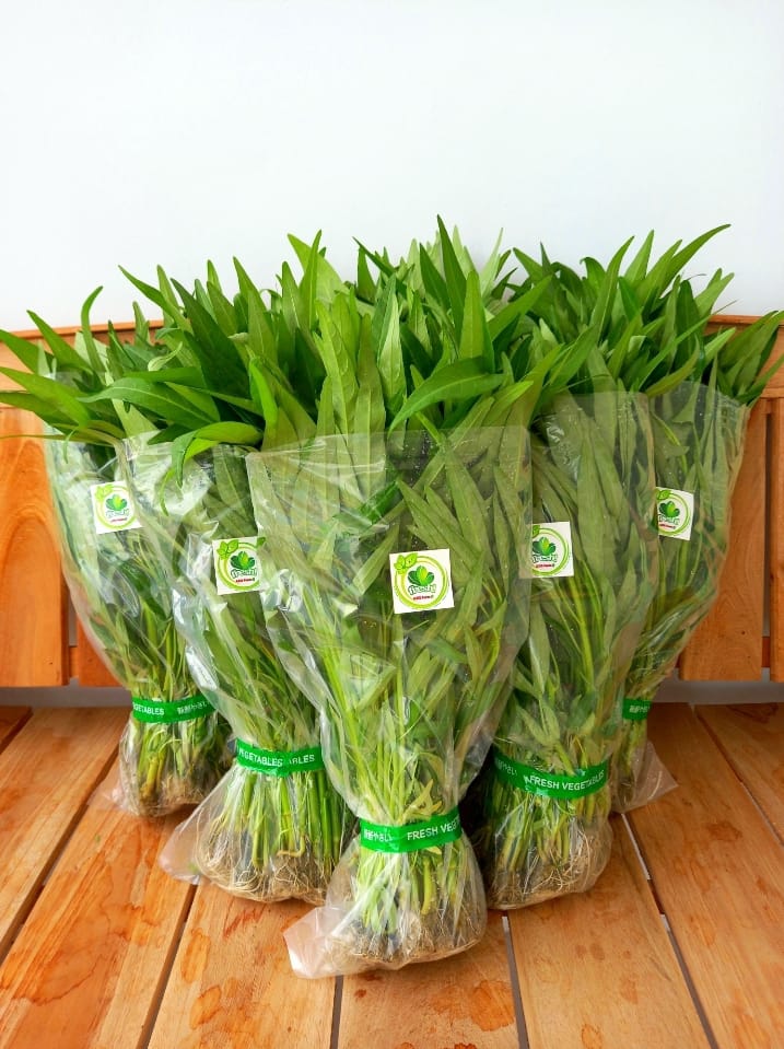 Kangkung